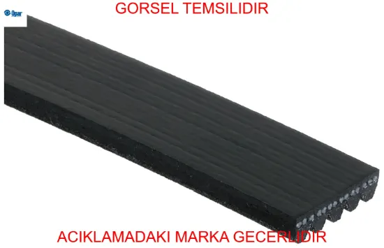 V kayıs  gdx opar 55240004 resmi