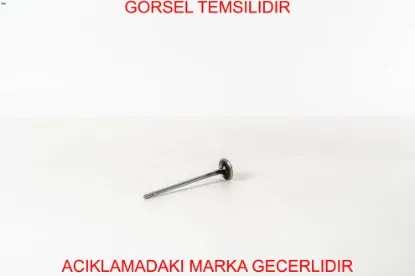 Emme Subap Opar 55261261 resmi
