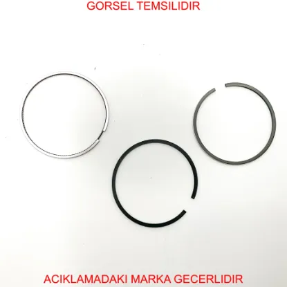 Segman tk. Peugeot  1610111180 resmi