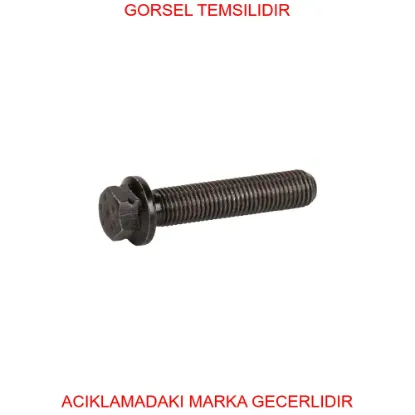 Biyel cıvatası peugeot  1629086980 resmi