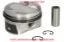 Piston sekman peugeot  1631729180 resmi