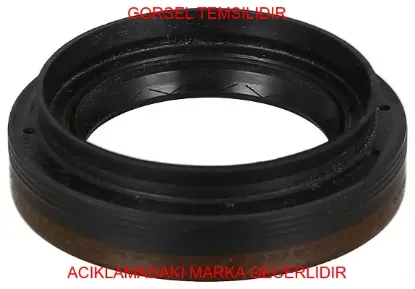Dudaklı keçe peugeot  24583232 resmi