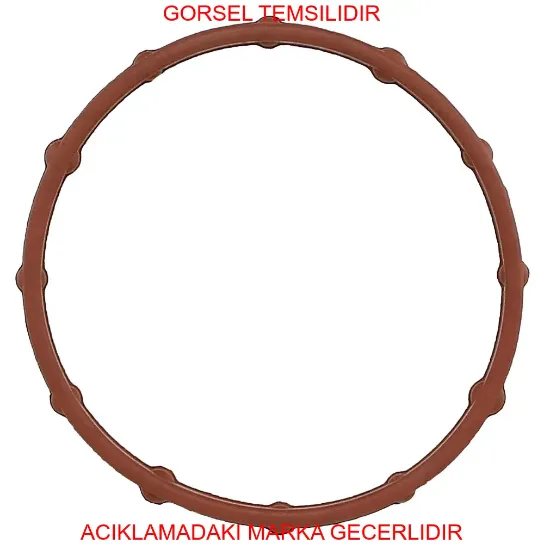 O-ring peugeot  55486276 resmi