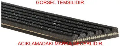 Kayış 9800716180  peugeot resmi