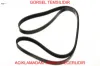 V kayışı   6pk1740  307-406-expert-jumpy 2.0 hdı  46444537/ 9622521380/ 96290540 roadmax  resmi