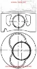 Piston+segman 0.25 3-4 Piston Golf Iv-bora-t5-a3-a4-ibiza-leon-octavia 1.9tdi 00> 79.51mm 038107065GK/ 038107065CJ resmi