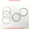 Segman 106-saxo-207-206-bipper-nemo C2 C3 Xsara 0640.R1 resmi