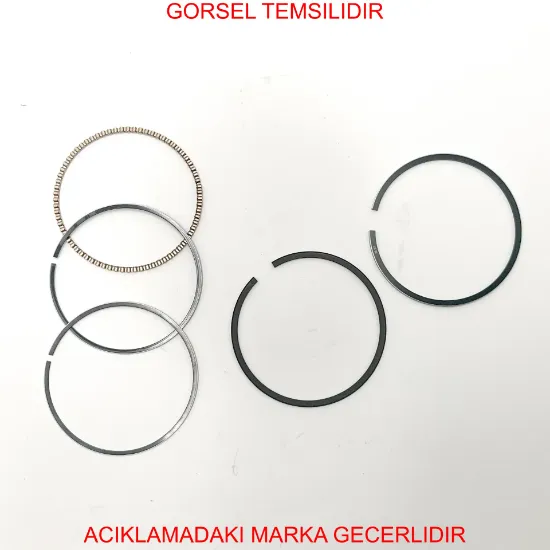 Segman 106-saxo-207-206-bipper-nemo C2 C3 Xsara 0640.R1 resmi