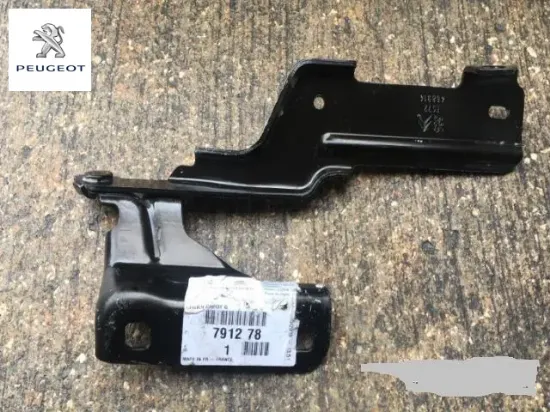Menteşe kapağı Peugeot resmi