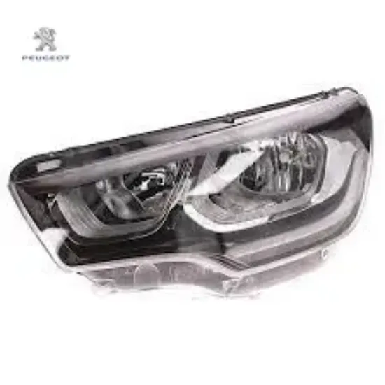 Far Peugeot resmi