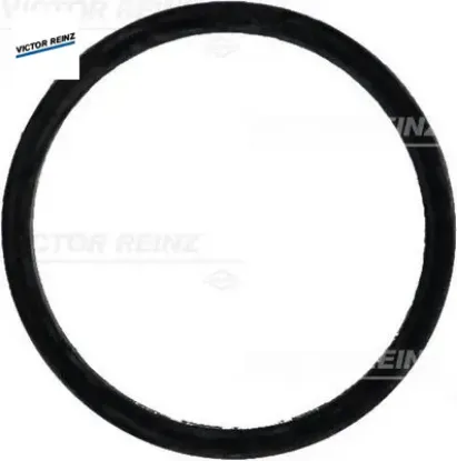 Emme manıfold contası mercedes om604 om605 w202 s202 w210 s210 A6041410160/ 915.769 resmi