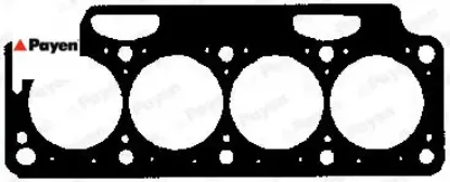 Bx600 skc r19-clıo-lgn-mgn 1.6-1.8-2.0 16v f3r- Payen 7700859273 resmi