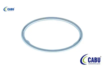 Kalorıfer ufleyıcı cercevesı krom focus ıı 04>08 Cabu 4M51A014L21 ÇRV resmi
