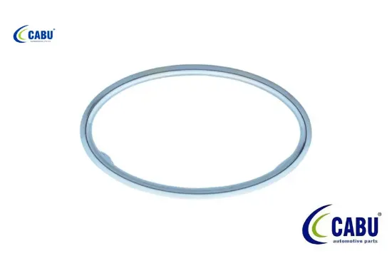 Kalorıfer ufleyıcı cercevesı krom focus ıı 04>08 Cabu 4M51A014L21 ÇRV resmi