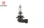 Ampul 12v h12 53 pz20d h 12 standart ışık 9055 resmi