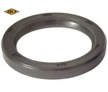 Arka teker keçesi dış h100 kamyonet 97-03 39×76.5x10.5x14 Skt 528204B100 resmi