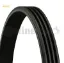 Kanallı kayış ford mazda mıtsubıshı suzukı 5723123500/ MD186111/ 4009.41 resmi