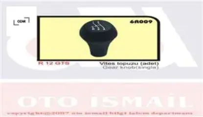 Vites topuzu r12 gts 7702128208 resmi