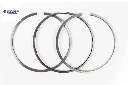 87-71665 motor segmanı vectra a-b astra f-g omega b 96> 2.0 x20xev-c20xev 87-71693-c20ne 86.00 1.00 Federal mogul resmi