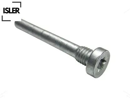 Kapı menteşe pimi vidalı r9-r11-r19-mgn-clıo-exp resmi