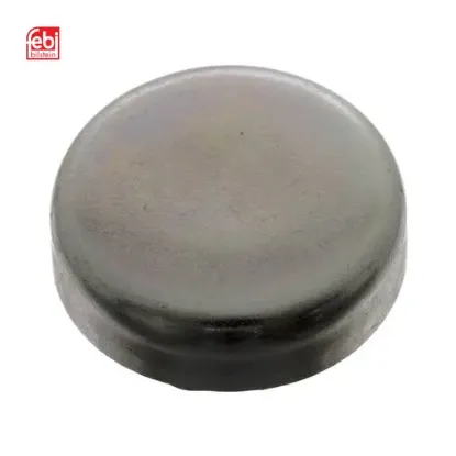Blok su tapası 25 mm 75- Febı bılsteın N000443025003 resmi