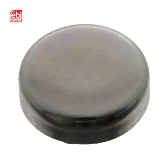 Blok su tapası 25 mm 75- Febı bılsteın N000443025003 resmi