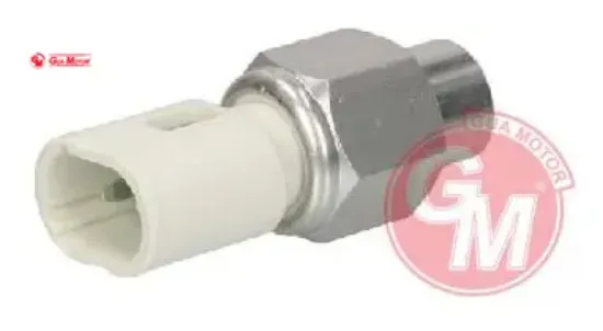 Direksiyon pompa müşürü renault clıo ıı sandero 1.4-1.6-magane ıı-duster 1.5 dcı Gua 7700413763/ 497610324R/ 6001546493 resmi