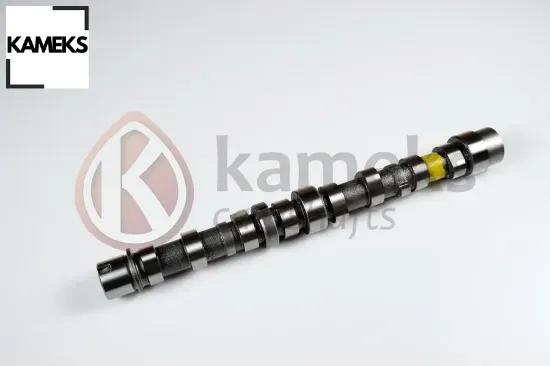 Eksantrik mili emme bıpper 10> nemo 10>doblo 10> egea 16> punto 12> 500 l 12> 95bg 1.3 jtd euro5 dök 55206897 resmi