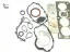 Motor conta takımı clıo ıv 12> captur 13> symbol ııı 13> dacıa logan ıı 12> sandero ıı 13> 0.9 tce Maıs 101012042R resmi
