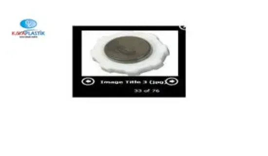 Genleşme kavanoz kapağı r9-flash-r19-r12-toros-mgn-clıo-kng-exp-logan-solenza Kaya plastık 7700805031/ 7701021947/ 7700808836 resmi
