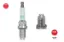 Atesleme bujısı bkr6equp bmw e46 e39 e60 e63 e38 e65 e53 e36 e85 auıdı a6 a8 r.r 3 vogue l322 02>05 Ngk 9071003/ 0037607/ LR021006/ EBC11480 resmi