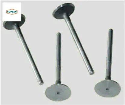 Subap emme egzoz kng-exp-r19 f8q-mgn-lgn 1.9 00 > Supsan 7701471704/ 7701471705 resmi