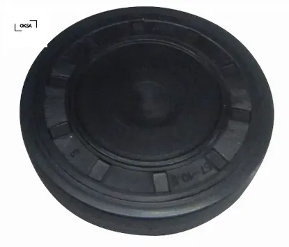 Silindir kapak tapası 57×10.5 büyük megane-clıo-kangoo k4m-k4j-f4r 8200058019 7700106271/ 7700106383/ 1680600QA1 resmi