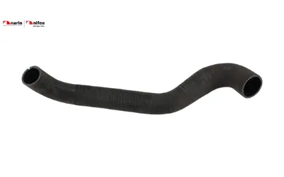 Turbo hortumu daıly ıv Nıfea 504275574/ 504136614 resmi