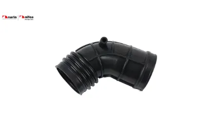 Hava filtre hortumu Nıfea 13541705209 resmi