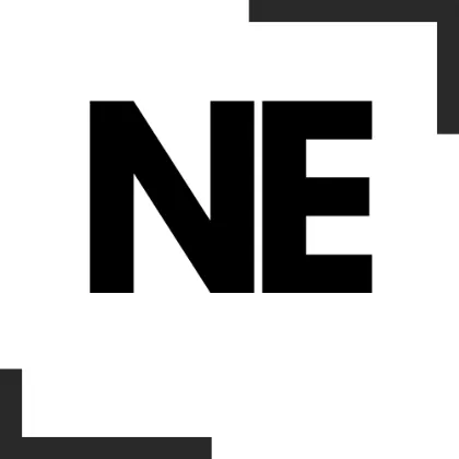 NE üreticisi resmi