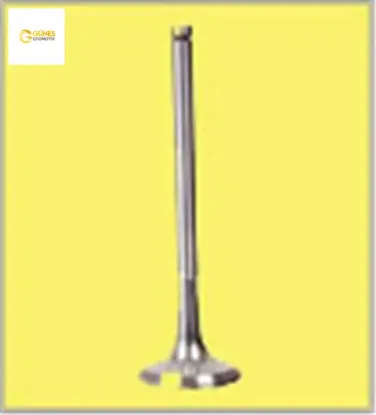 Takım supap c3 dv4ted 1.4 16v 0948.c4/ 0949.c1 4492-4493 resmi