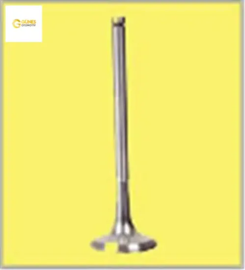 Takım supap c3 dv4ted 1.4 16v 0948.c4/ 0949.c1 4492-4493 resmi