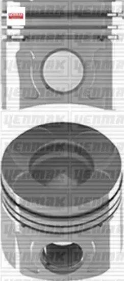Piston segman 69,60mm+0,40 fıorıno-bıpper 1.3 mjt 8772660040000g/ 1608299580/ 55 31-04198 resmi