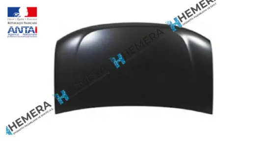Motor kaputu duster 2010> 651000987r resmi