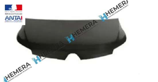 Motor kaputu master 2019-2023 651005058r/ 651009593r resmi