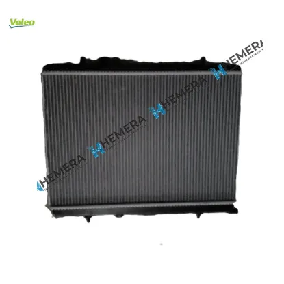 Motor su radyatörü 206 2002> 1330g0/ 133313.04 resmi